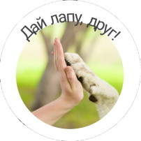 Акция "Дай лапу, друг!". Акция "Дай лапу, друг!".