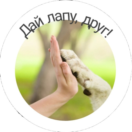 Акция "Дай лапу, друг!". Акция "Дай лапу, друг!".